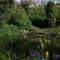 Tiny House Nature 3 - Green Tiny Village Harz - Osterode