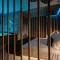 Aquasuite - Luxury Experience & Spa