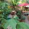 Canario Bungalows