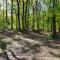 Comfortabel tot rust komen in het Veluwse bos
