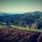 Weingut Reiterer - Kitzeck im Sausal