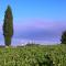 Poggetto di Montese