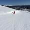 Borgafjäll snowcamp wildlife och skotercenter - Borgafjäll