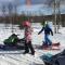 Borgafjäll snowcamp wildlife och skotercenter - Borgafjäll