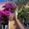 Apartments Marin, Kolan, Mandre, Pag
