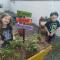 Hostel Cidade das Flores 2 - 约恩维利