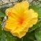 Love Guadeloupe