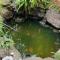 Serene Charming Private Suite Patio, Upscale Berkeley - 伯克利