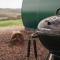 Forth Mountain Glamping
