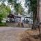 Out in the Wild - Oakhurst