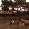 Hamiltons Tented Camp