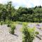 Glamping PEC - HALFBOARD - Selnica ob Dravi