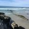 Stay in School by the Sea - Dunedin