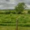 Rawcliffe House Farm Studios, Peaceful North York Moors Retreat