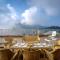 Hostie Mystica-Highest Penthouse with Terrace, Mashobra