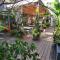 Gondwana City Green