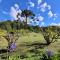 Chalé 02-Recanto da Natureza Gonçalves MG