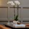 The Thomas Hotel - Garden Suite 2-Bedroom - 01