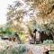 Holiday Park Olive Tree