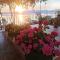 Sonce Guest House