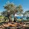 Holiday Park Olive Tree - Улцинь