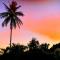 Swim & Paint Art Retreat