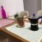 amazing apartment in the heart of masouri