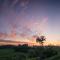 LOVE HORIZON