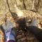 Red River Gorge Creekside, New*Spacious *2 baths! - Stanton