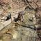 Red River Gorge Creekside, New*Spacious *2 baths! - Stanton