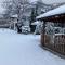 Paja Guesthouse - Camping