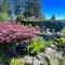 Coastal Cabin with Puget Sound and Rainier Views! - Allyn