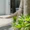 Drift San Jose del Cabo, a Member of Design Hotels
