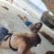 Payag n Kapitan, Experience pinubre living