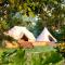 Cowcooning / Family tents