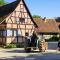 Chalet du Silberrain près de Colmar - cheminée, sauna, piscine partagée - Osenbach