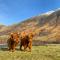 Glen Nevis Holidays