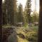 Långforsen Glamping & Lapland Experience - Haparanda