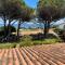 Domaine U Pozzu