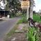 Ayu Guesthouse Ubud - 乌布