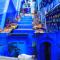 CASA dreams Chaouen