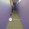 Alice Suites