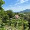 Vine Cottage