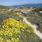 Langebaan Paradise Beach 9 Elara
