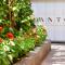 San Anton Hotel