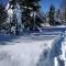 Tilia Cottage Banjska stena