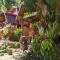 Lucky BambooBungalows-Resto and Orangutan Jungle Trekking Tours
