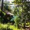 Bambu Huts
