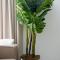 STUDIO apartment near Seven Mile Beach at The Grove