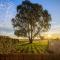 Church Lane Accommodation, Milawa.